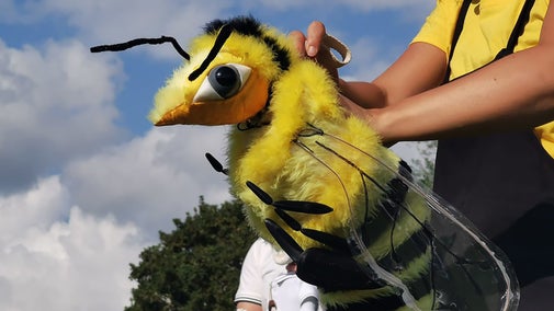 'Buzz' - A Bee-rilliant adventure!